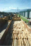 1m-Holz im Waggon