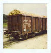 Waggon mit Bogen